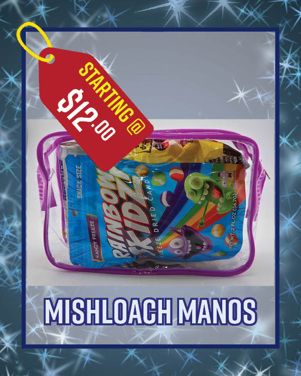 MISHLOACH MANOS Bags / 4 Bags